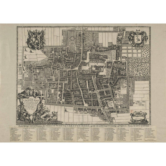 Historische Kaart Den Haag 1666 – Stadsplattegrond door Cornelis Elandts | Gouden Eeuw